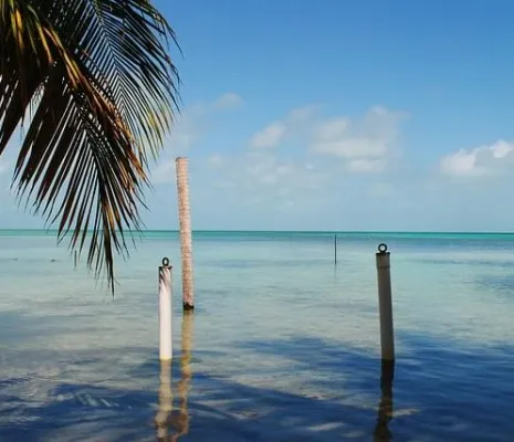 Ambergris Caye