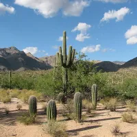Tucson