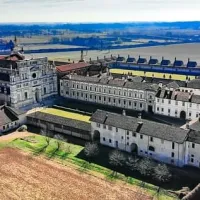 Pavia