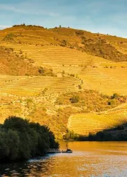 Douro Valley
