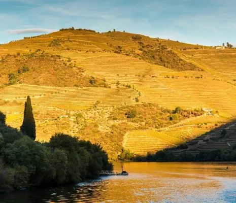 Douro Valley
