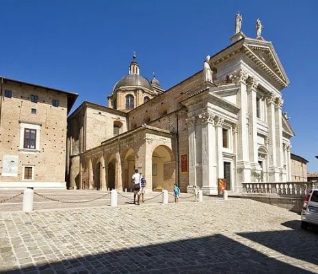 Urbino