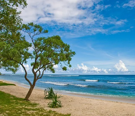 Vanuatu Islands