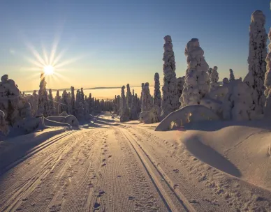Lapland