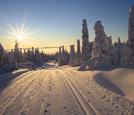Lapland