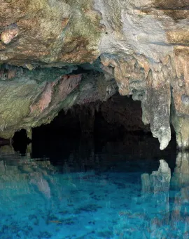 Gran Cenote