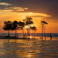 Tiwi Islands