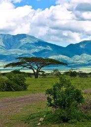 Tanzania