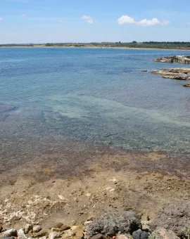 Vendicari Wildlife Reserve