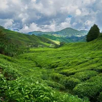 Malaysia