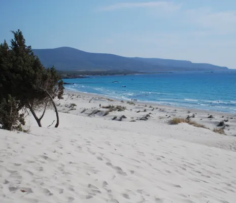 Porto Pino