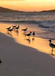 São Tomé and Príncipe