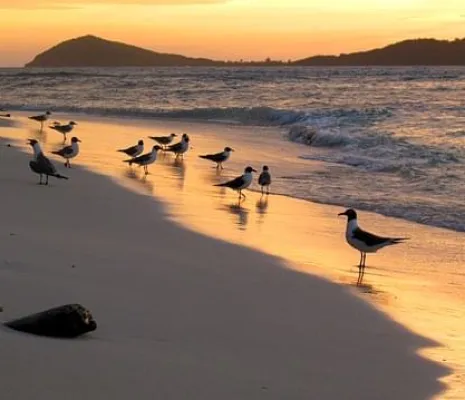 São Tomé and Príncipe