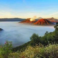 Java Island