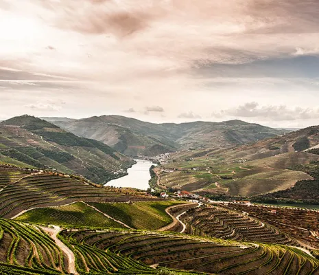 Douro Valley